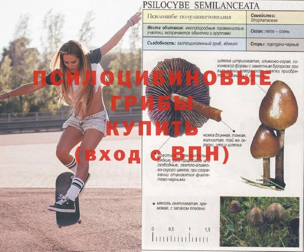 кристаллы Абаза
